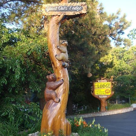 Giant Oaks Lodge Running Springs Екстер'єр фото